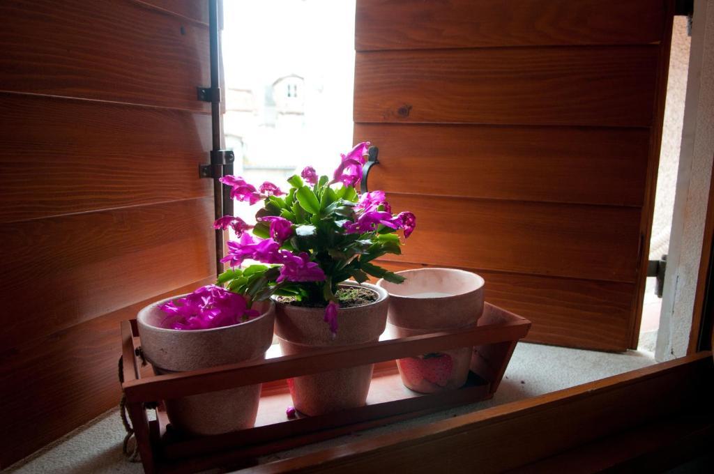 Comfort One-Bedroom Apartment,109795848:JPEG