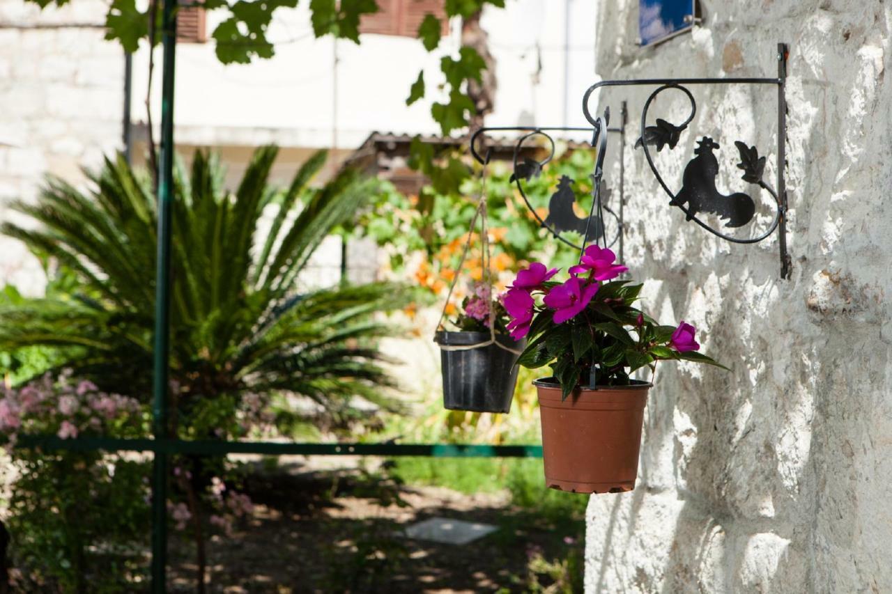 Appartement - Begane Grond