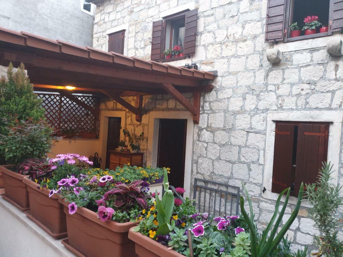 Estudio con terraza compartida