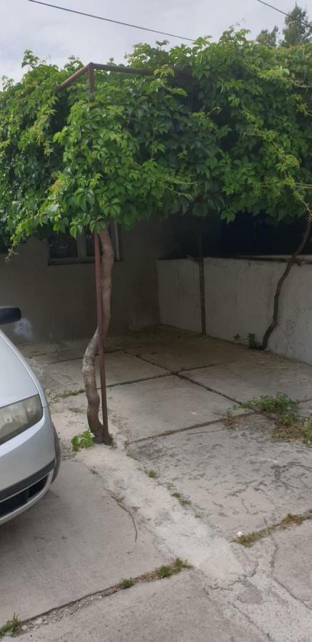 Appartement - Begane Grond