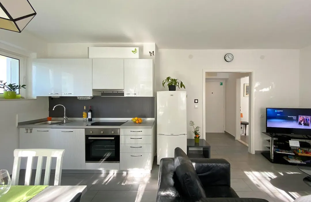 Fabris Bacvice-1