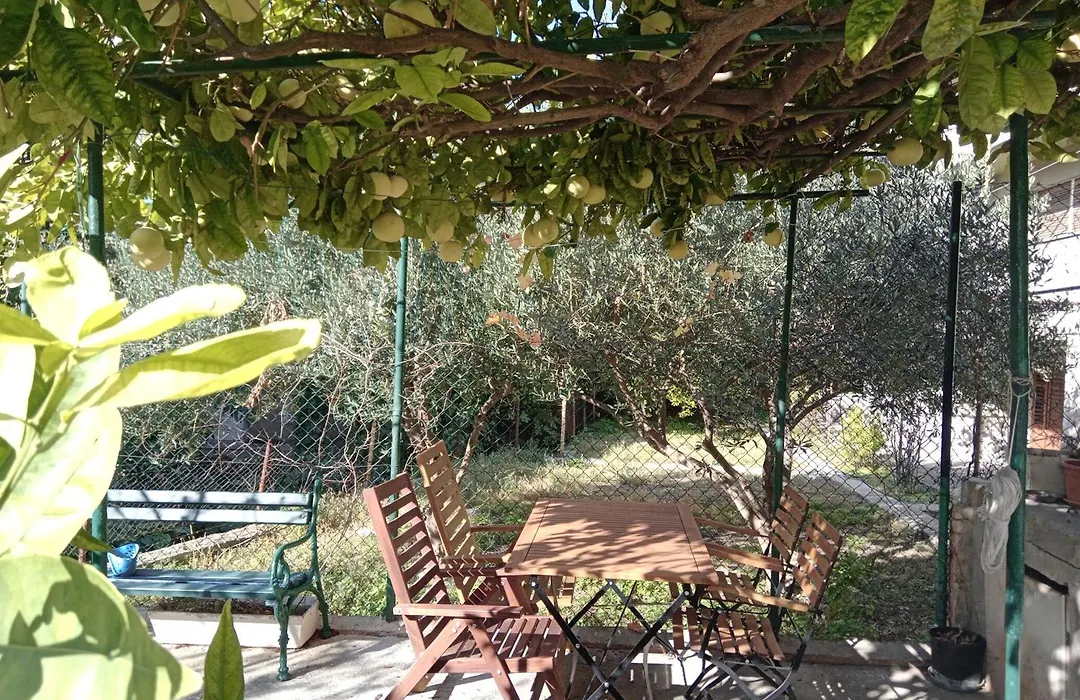 Apartman Paro-1