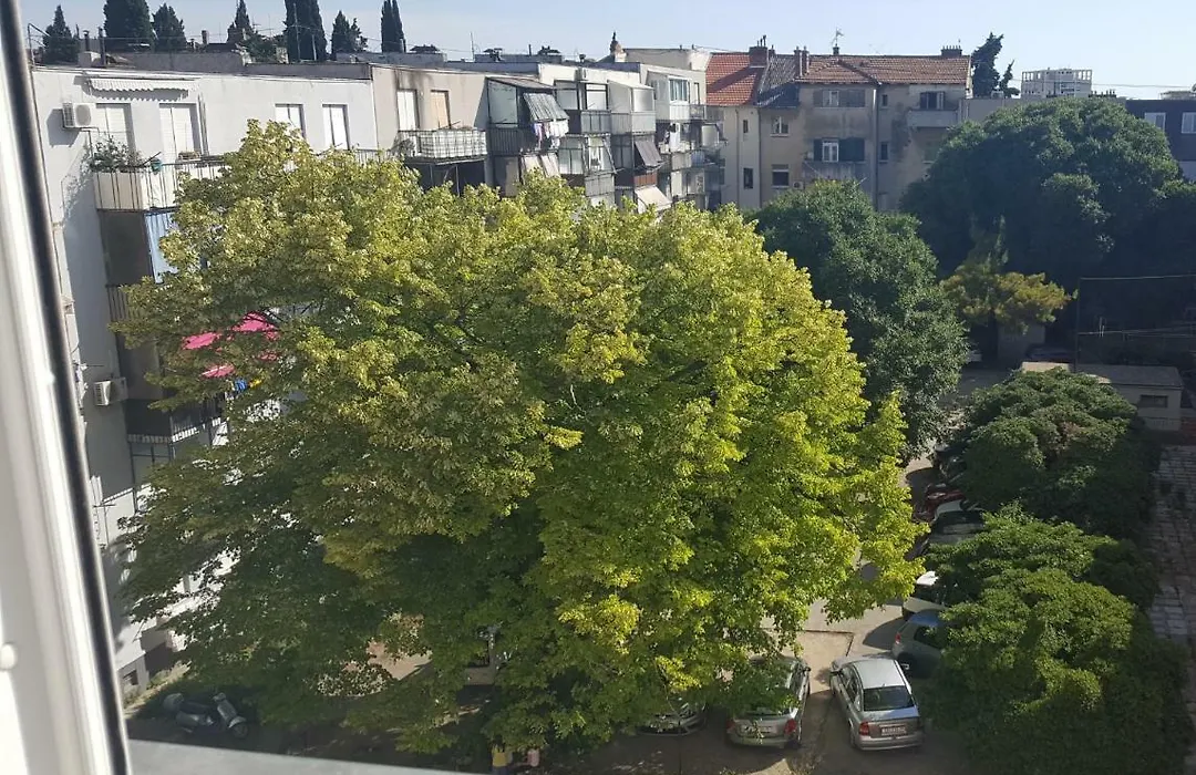 Apartments Zvone-1