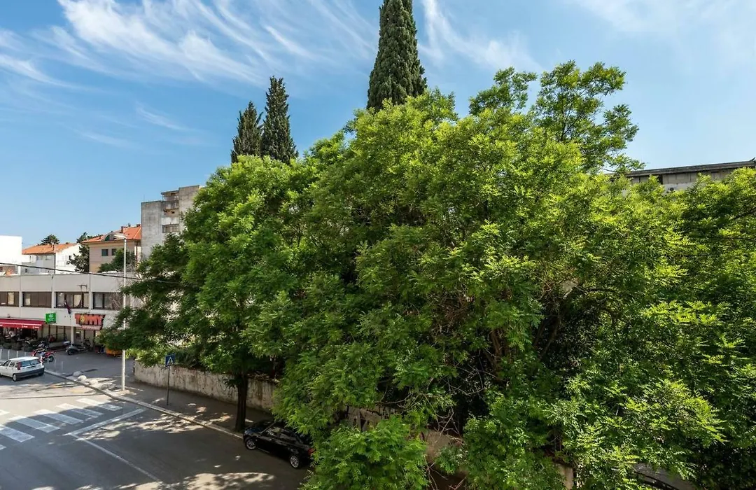 Apartments Cezar-1