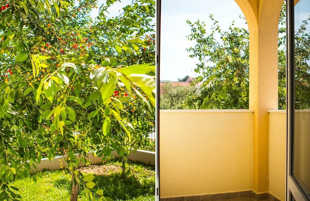 Olive Tree Apartments-1