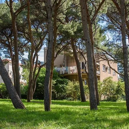 Apartments And Rooms By The Sea Split - 15298-3