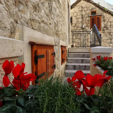 Guesthouse Mirula-3