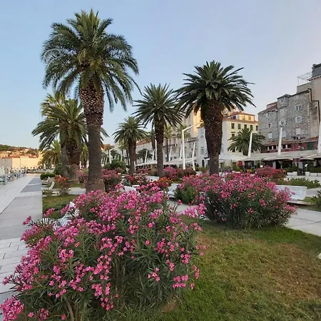 Studio Mali Jadran-2