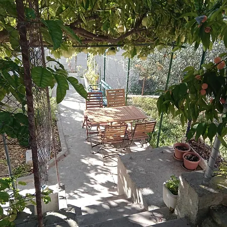 Apartman Paro-3