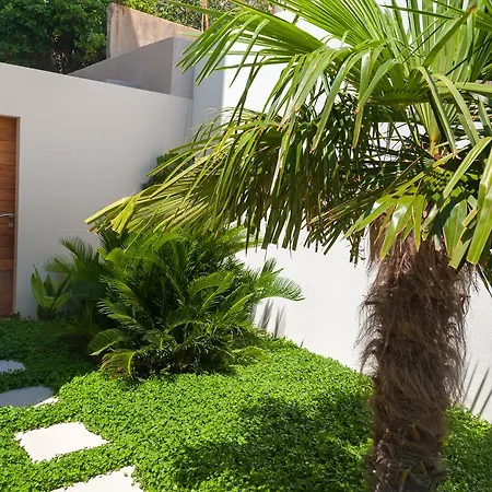 Alba Residence-3