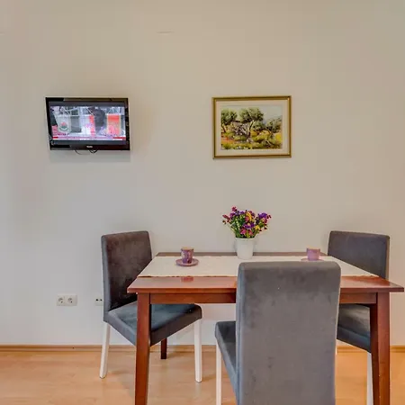 Apartment Roko-2