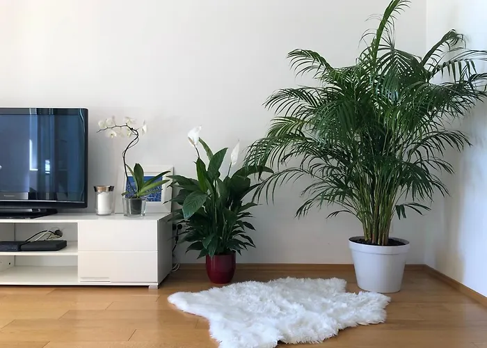 Apartment Charming Split