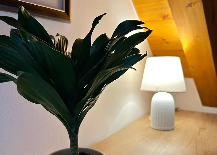 Guesthouse Kresic Split