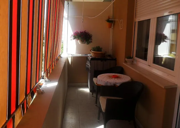 Apartments Rajna Split acceptant les animaux